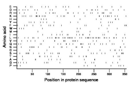 amino acid map