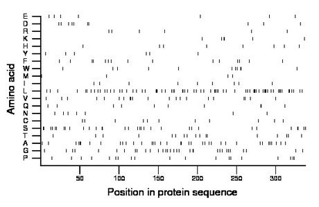 amino acid map