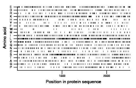amino acid map