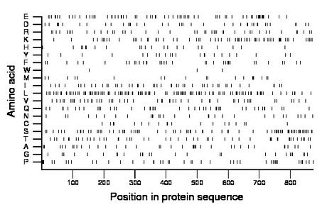 amino acid map