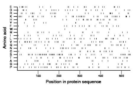 amino acid map