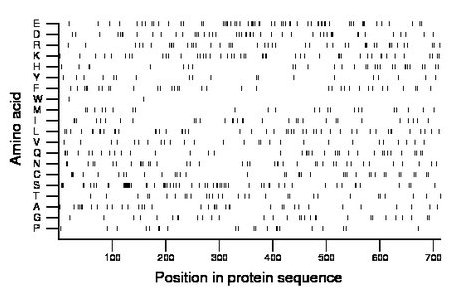 amino acid map