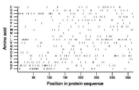 amino acid map