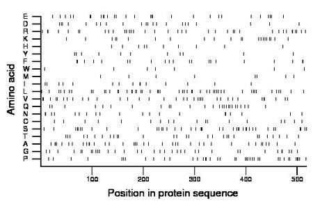 amino acid map