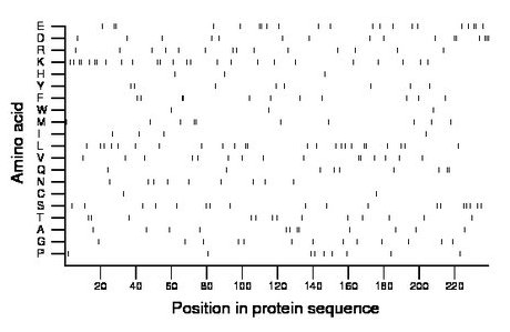 amino acid map