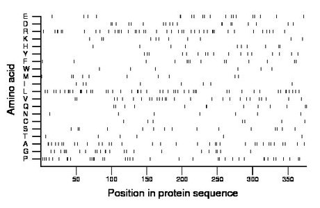 amino acid map