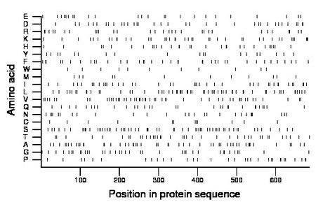 amino acid map