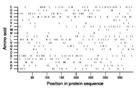 amino acid map